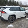 ⁦2023 TOYOTA RAV4 XLE PREMIUM⁩ - الصورة ⁦4⁩