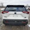 ⁦2023 TOYOTA RAV4 XLE PREMIUM⁩ - الصورة ⁦7⁩